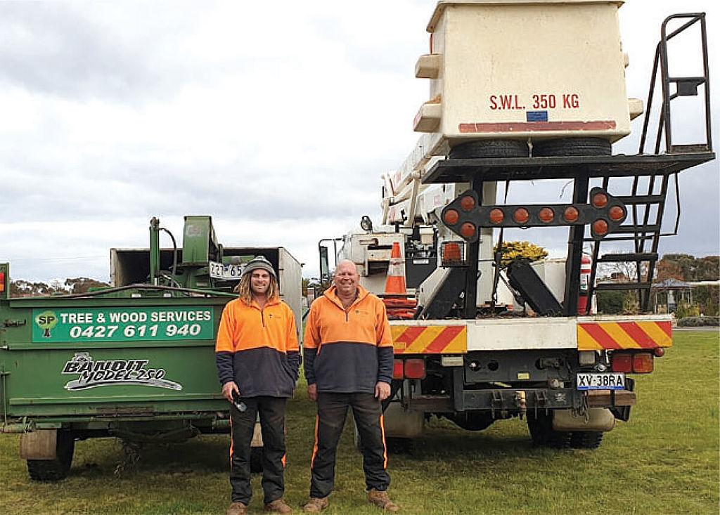 SP Tree & Wood Services, Maryborough Arborists & Tree Loppers Tree